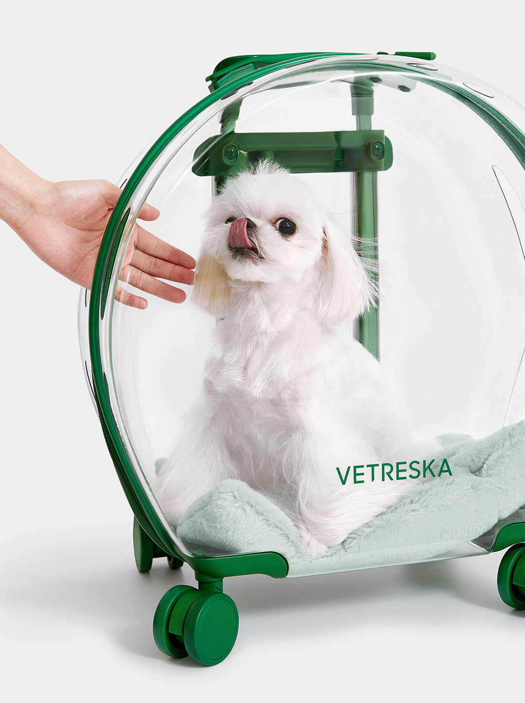 Bubble Pet Carrier - Green