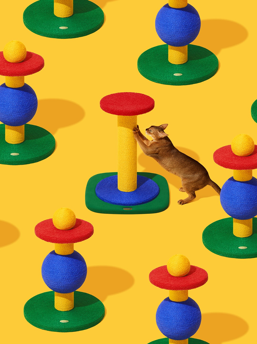 Chroma Cat Scratcher