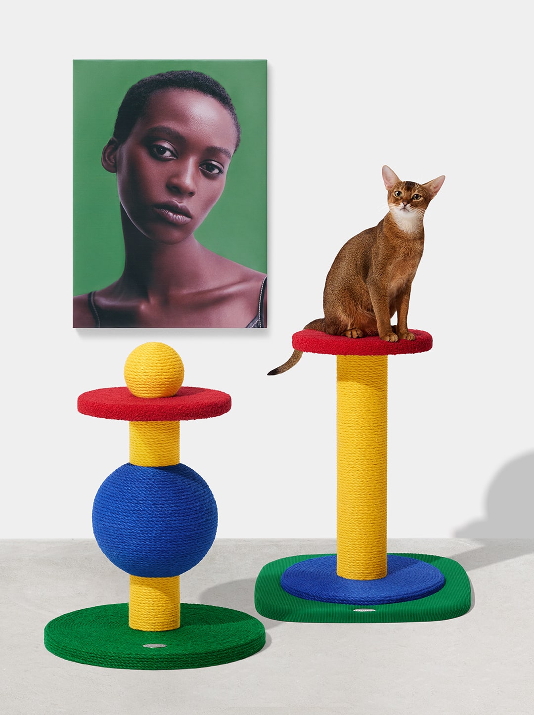 Chroma Cat Scratcher