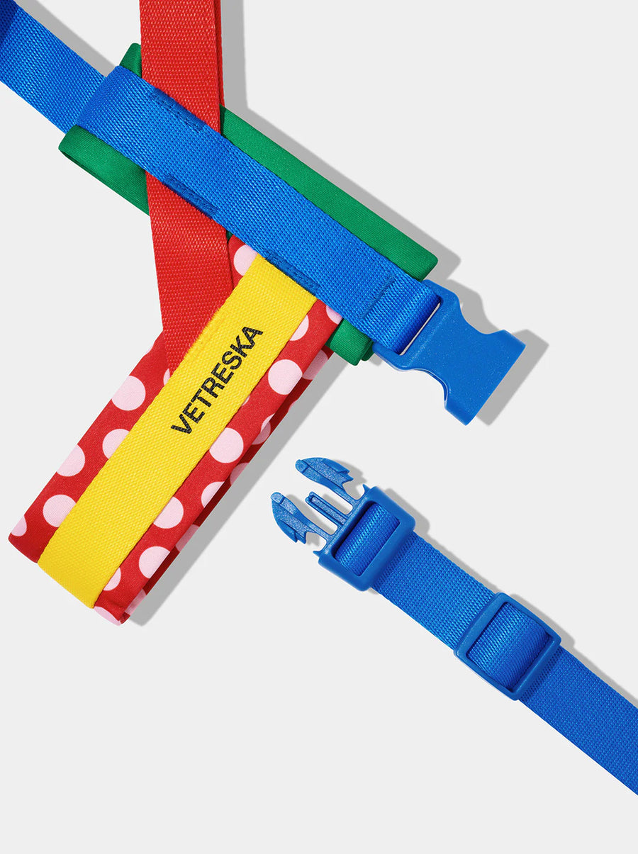 Chroma Pet Harness & Leash Set