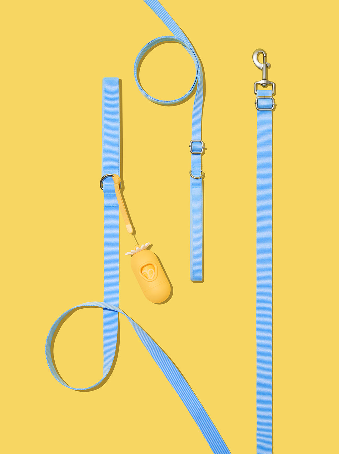 Daisy Pet Walk Kit
