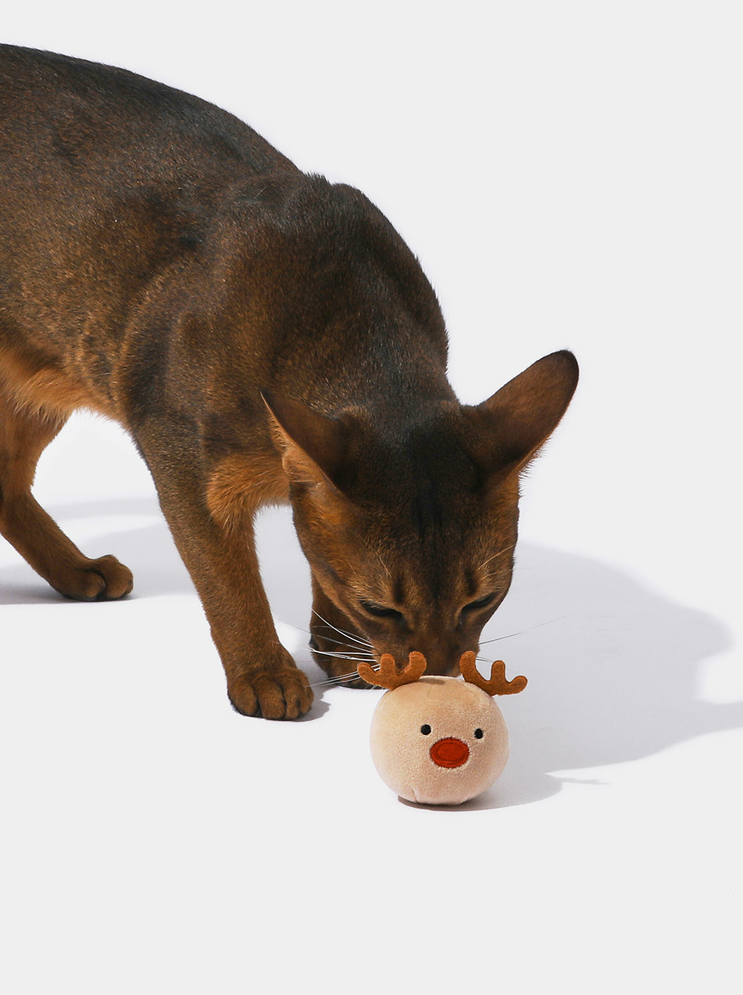 Festive Feline Retreat: Santa Paws Cushion & Festive Fluff-Nip Play Set