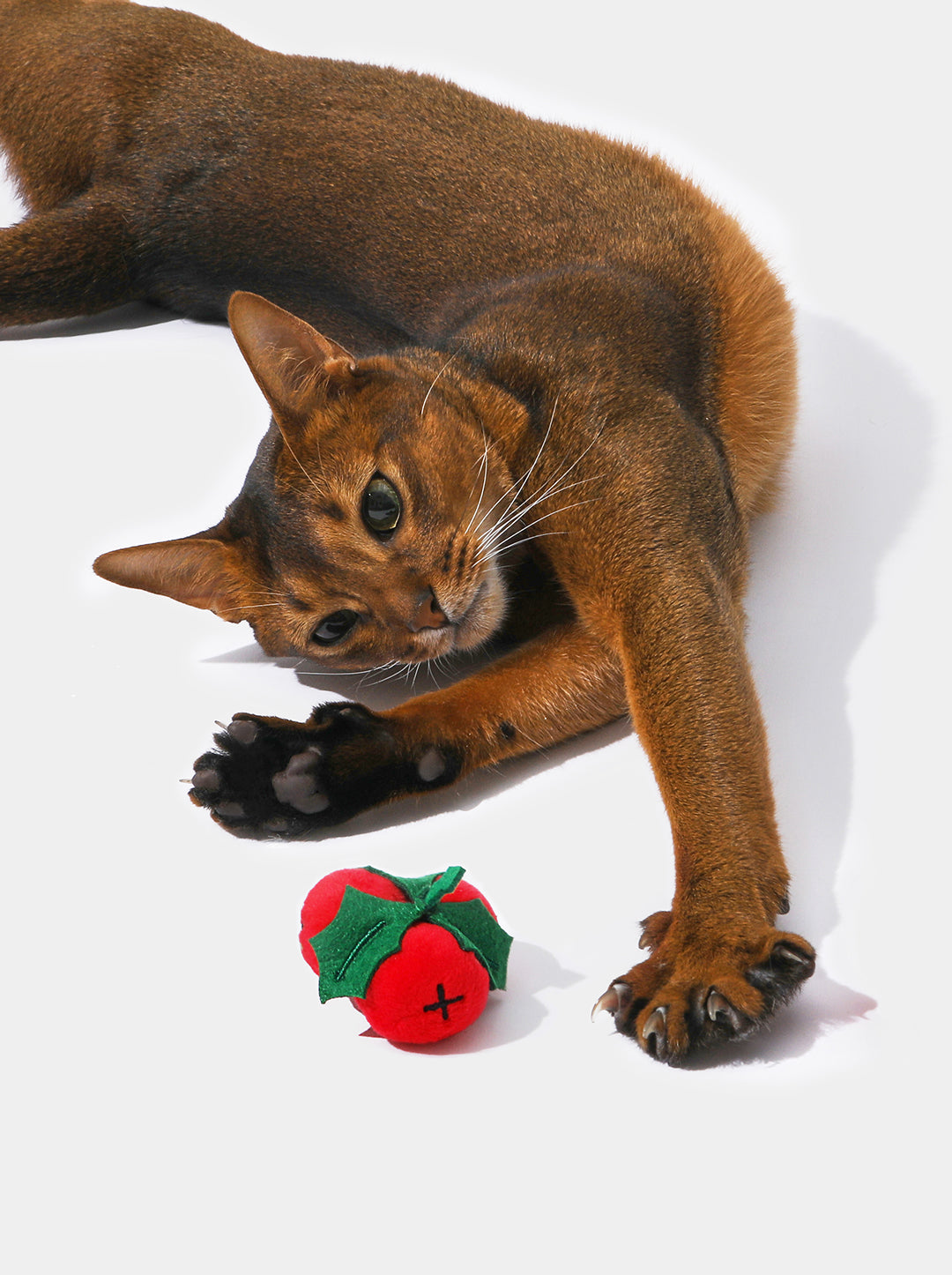 Festive Feline Retreat: Santa Paws Cushion & Festive Fluff-Nip Play Set