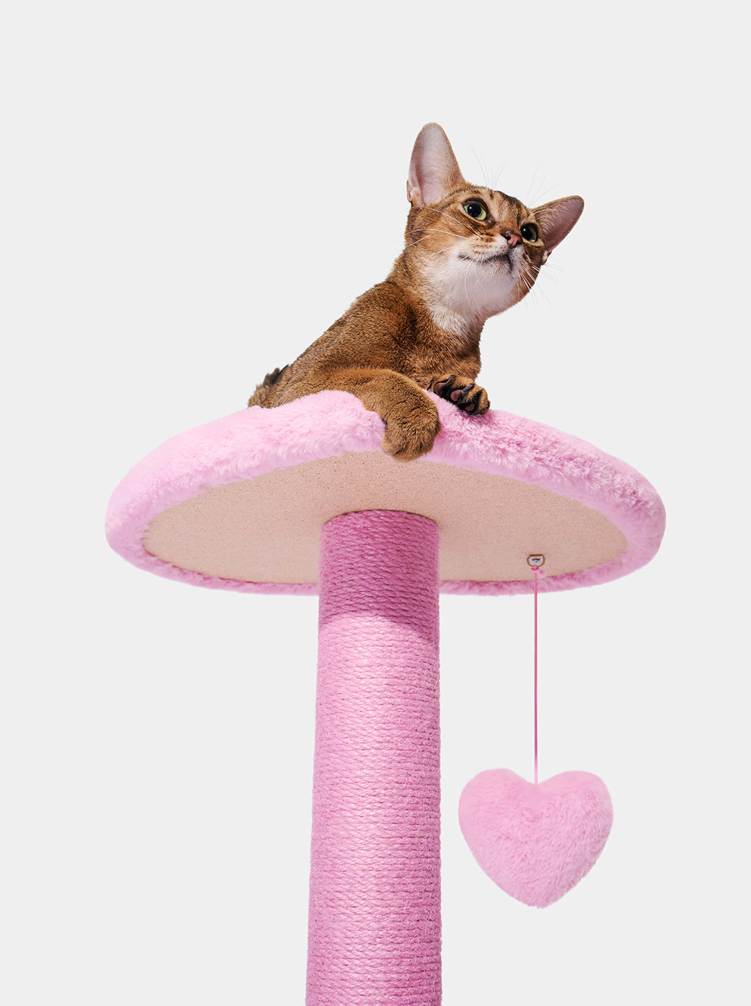 Heartpurrink Cat Climber