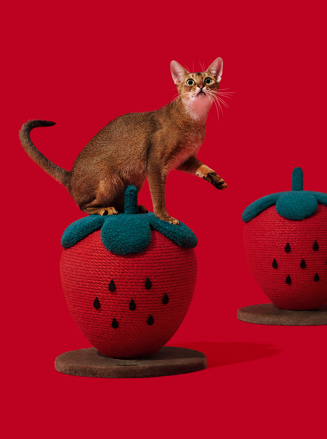 Strawberry Cat Scratching Ball