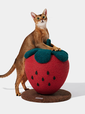 Strawberry Cat Scratching Ball