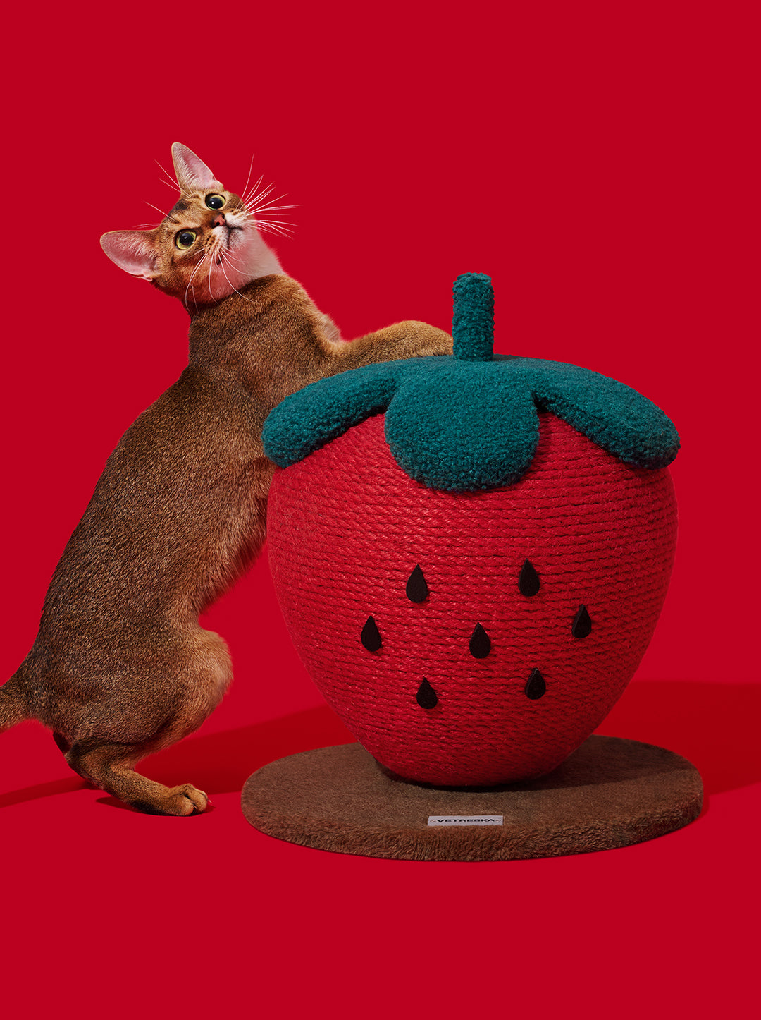 Strawberry Cat Scratching Ball