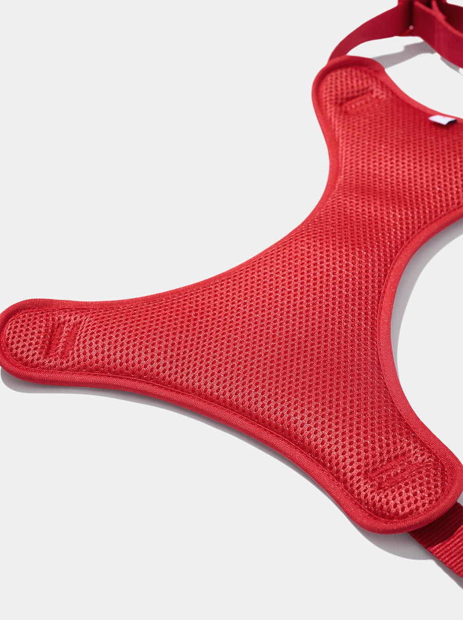 Strawberry Pet Backpack, Harness & Leash Set