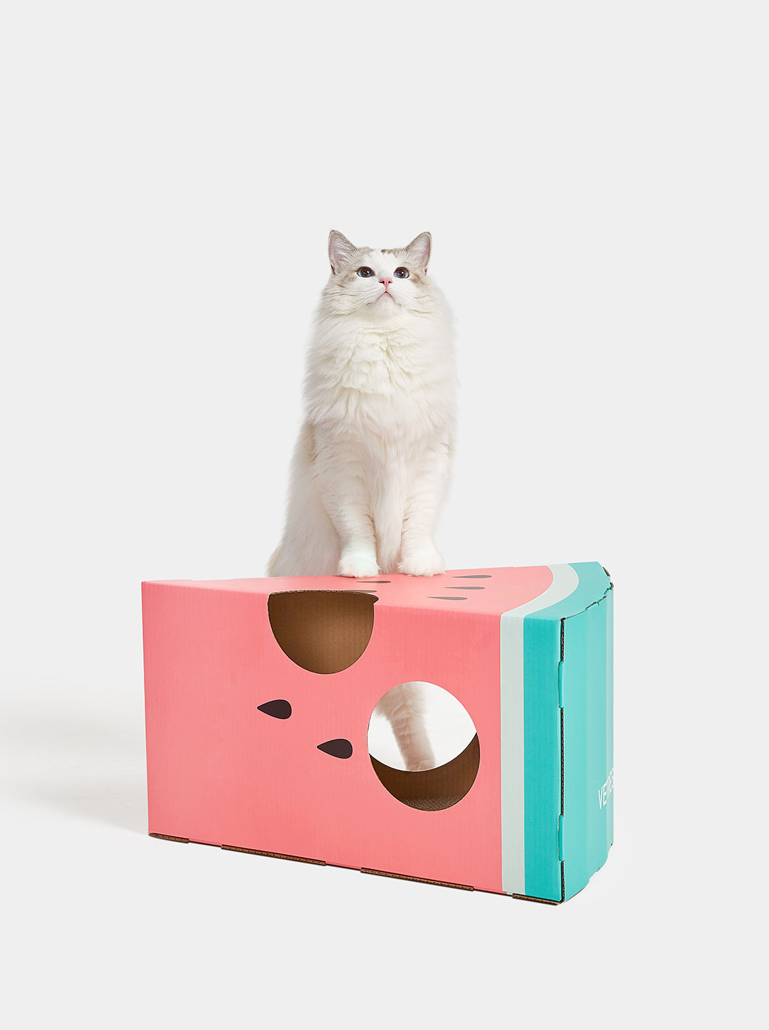 Watermelon Scratching Box