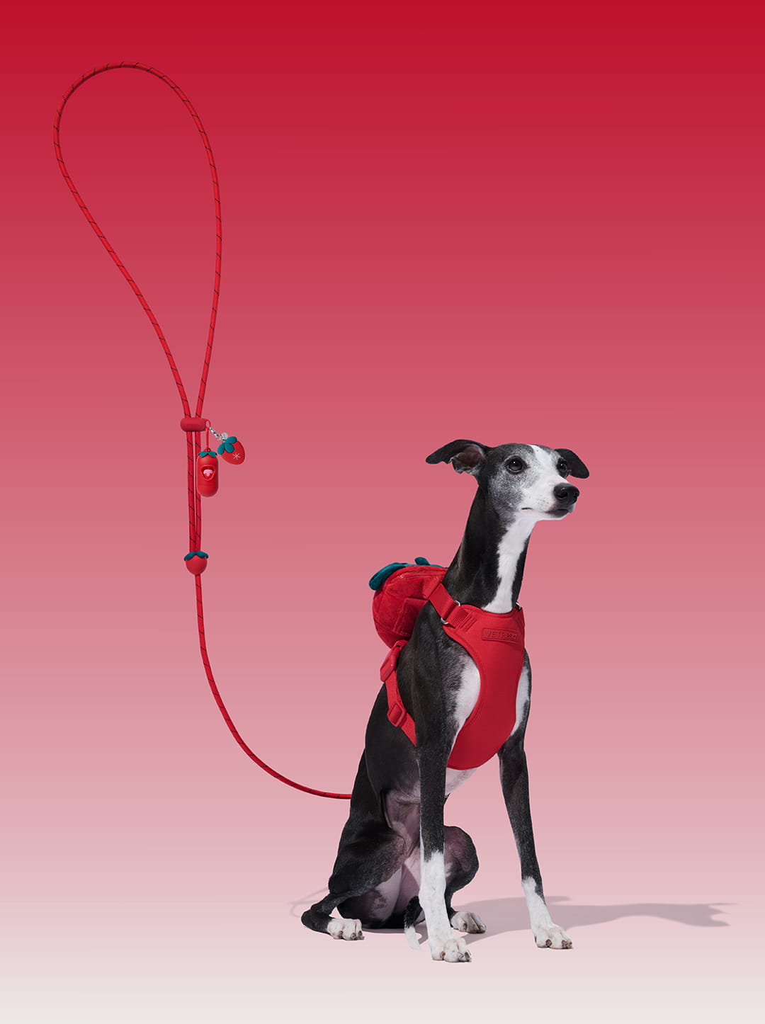 Connect Premium Classic Rope Leash Walk Kit - Strawberry