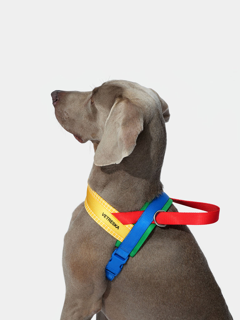 PASHA Collection  Designer Dog Accessories - Puppy Panache