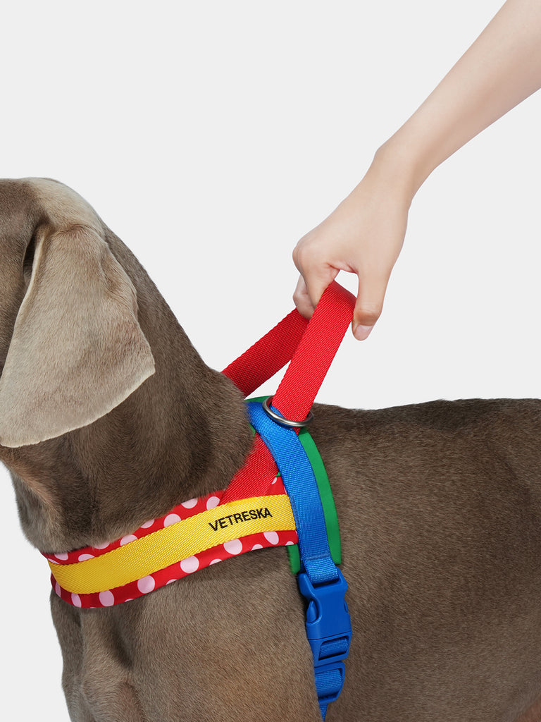Chroma Pet Harness & Leash Set - Red