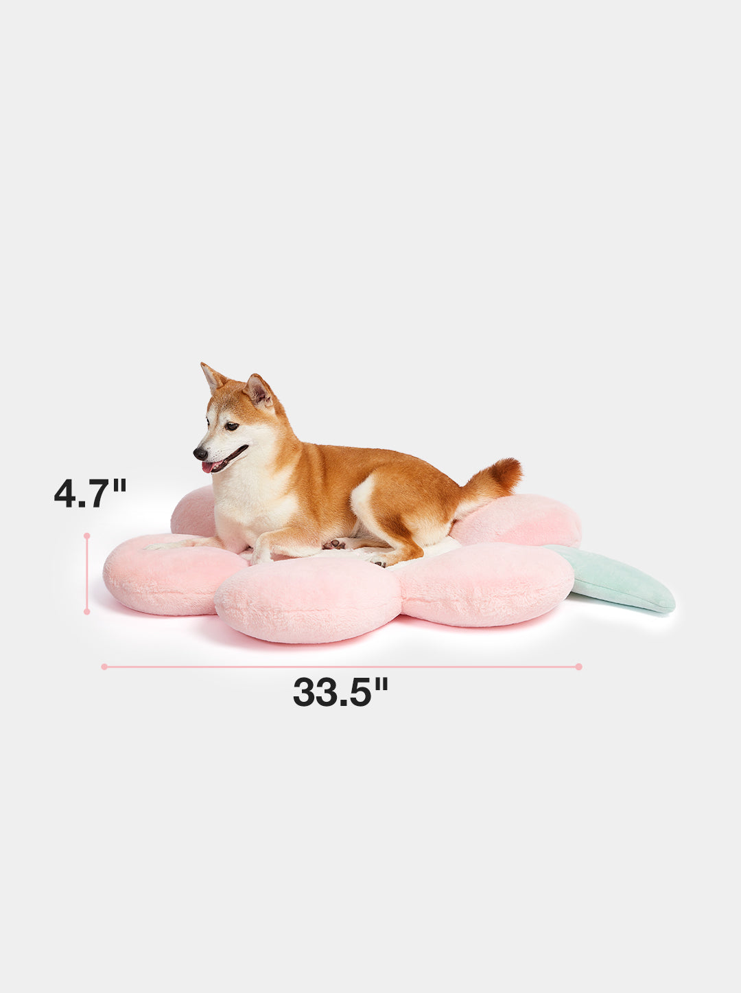 Flora Pet Bed