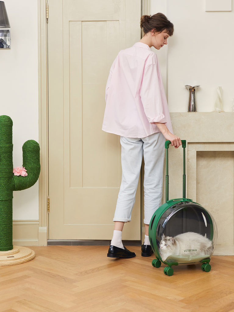 Vetreska Partially Transparent Bubble Luggage for Pets- Green Color