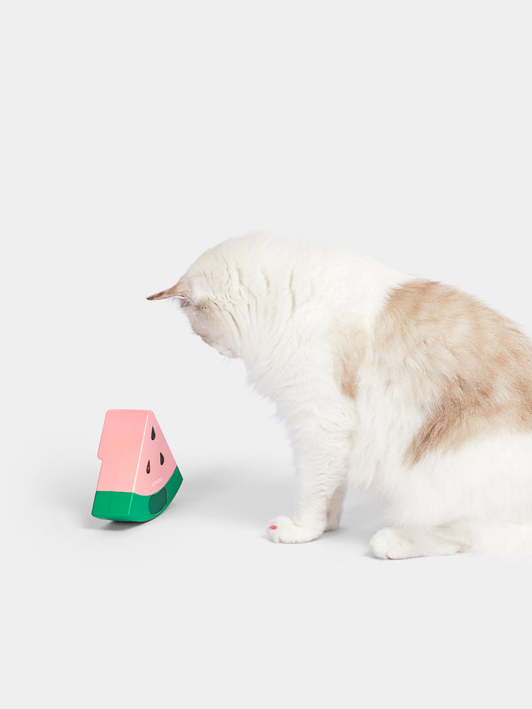 Vetreska - Watermelon Automatic Laser Cat Toy
