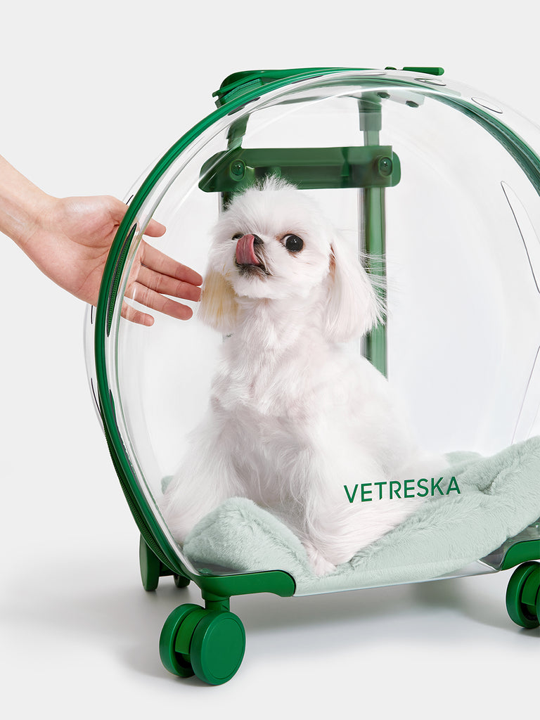 Bubble Pet Carrier - Green