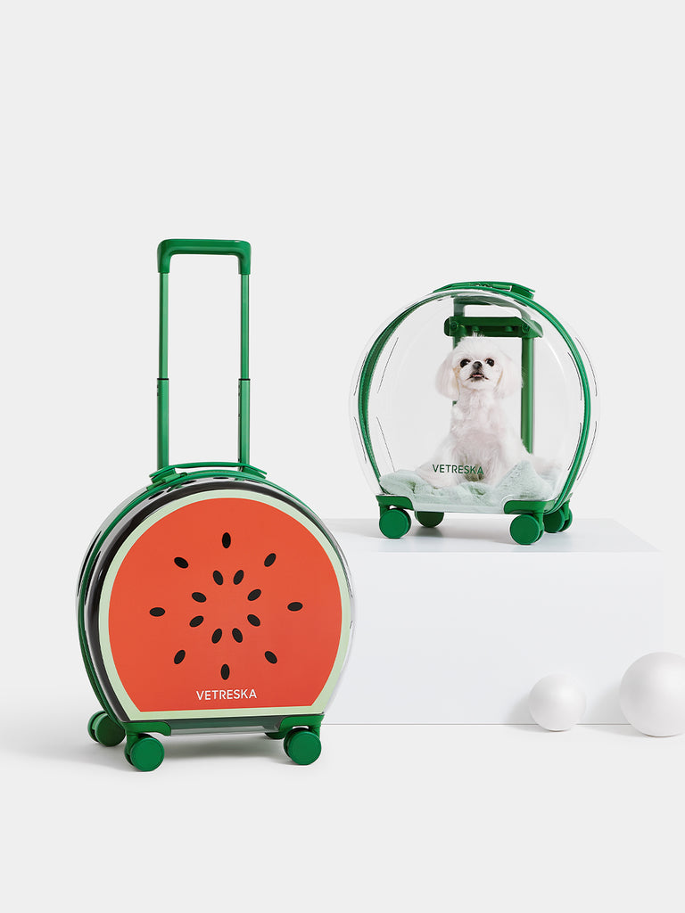 Vetreska Partially Transparent Bubble Luggage for Pets- Green