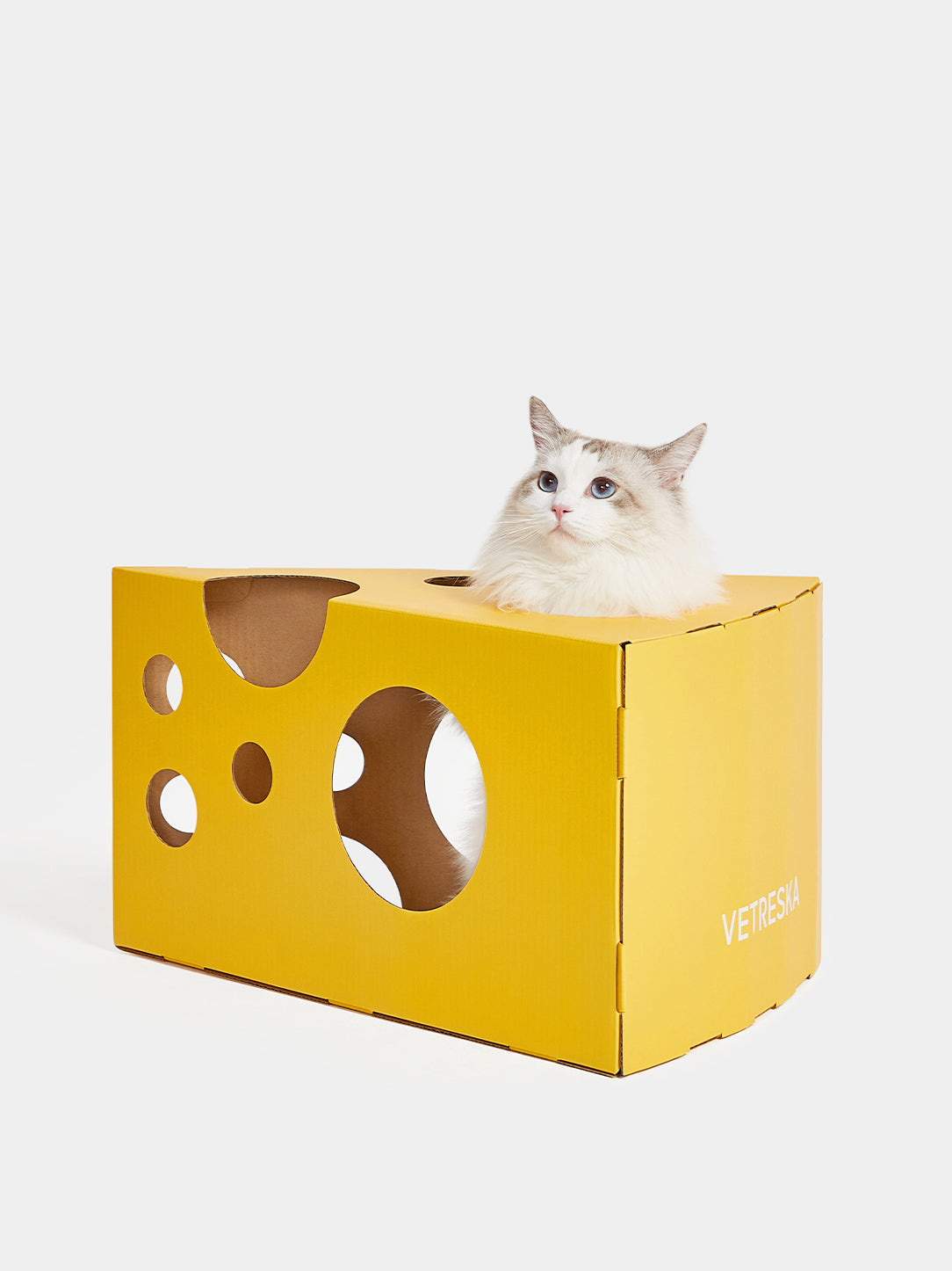 Cheese Cat Scratching Box