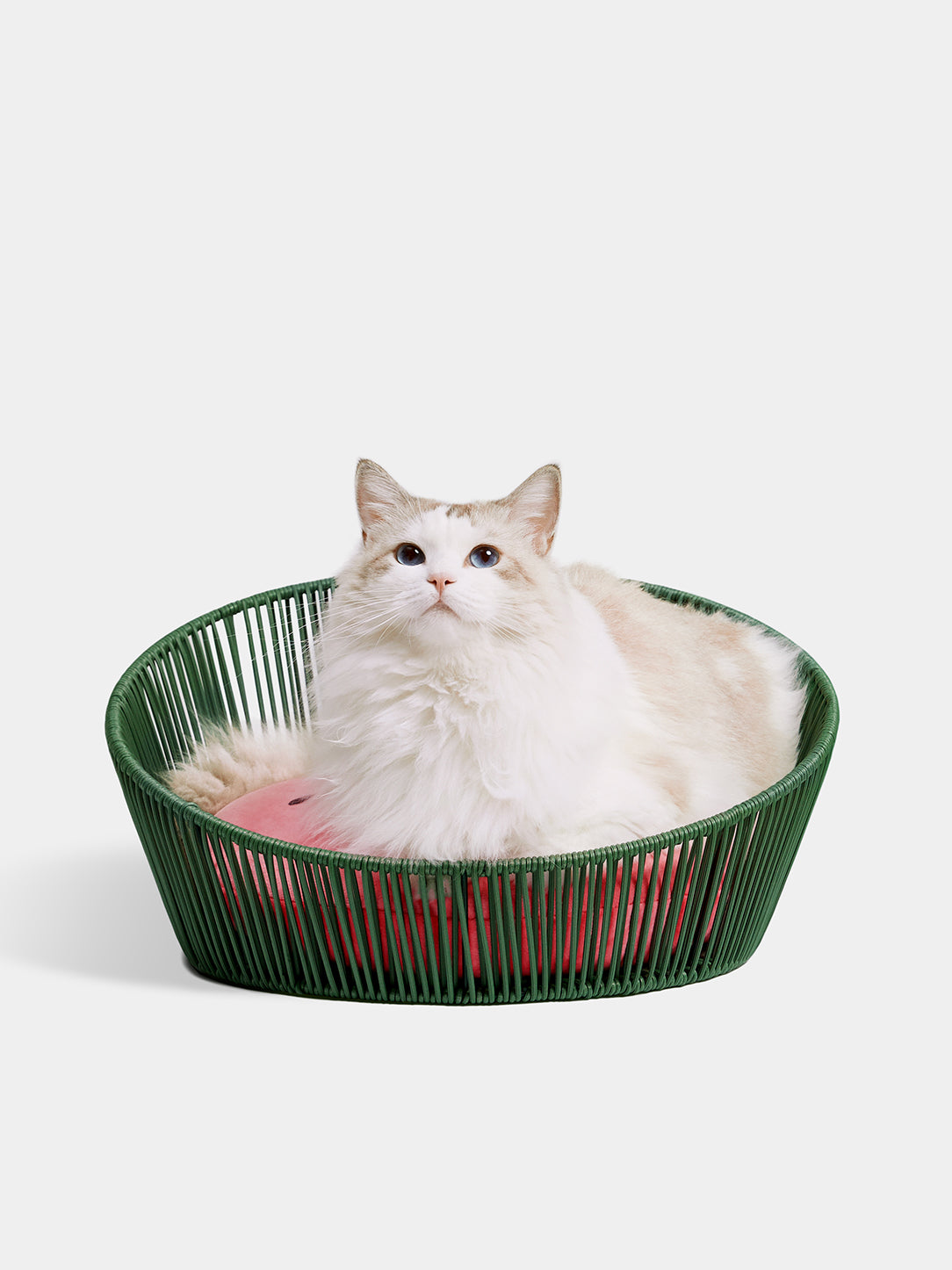 Watermelon Rattan Pet Bed