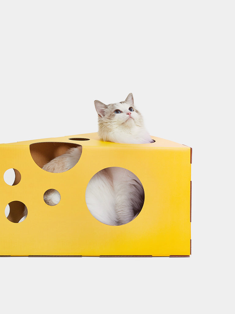 Cheese Cat Scratching Box