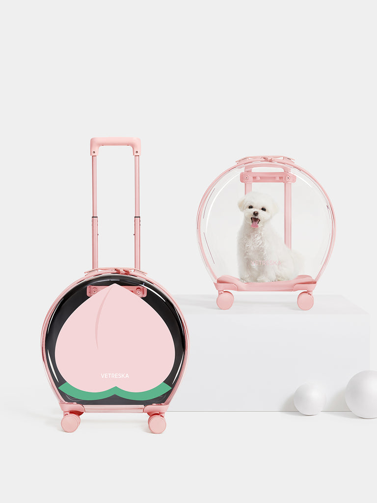 Bubble Pet Carrier - Pink
