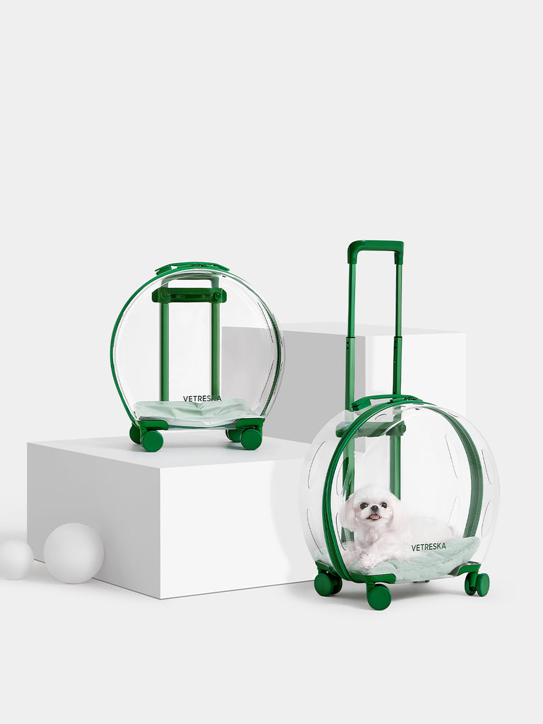 Vetreska Partially Transparent Bubble Luggage for Pets- Green