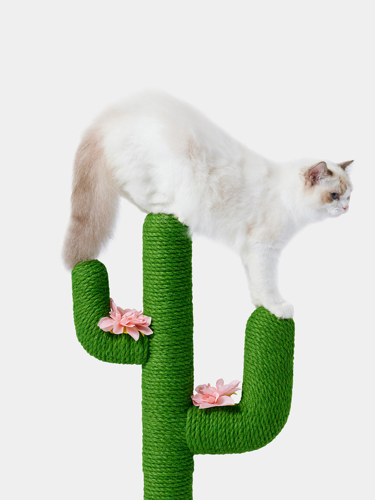 Vetreska - Oasis Cactus Mini Cat Tree, 31"