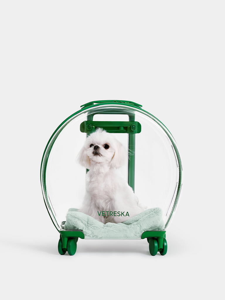 Vetreska Partially Transparent Bubble Luggage for Pets- Green Color