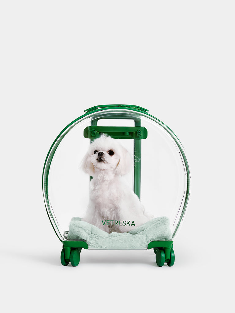 Bubble Pet Carrier - Green