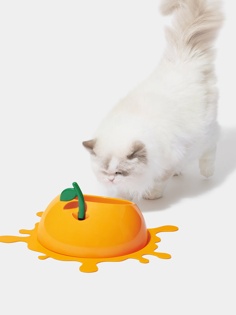 Vetreska Juicy Pet Bowl, Spoon & Mat Set Tangerine